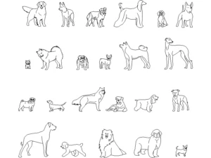 Bloques dwg de perros en alzado