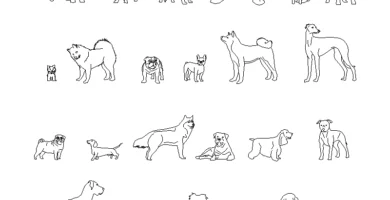 Bloques dwg de perros en alzado